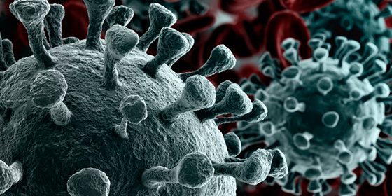 coronavirus-covid-19