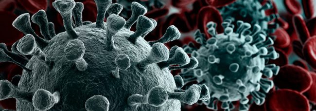 coronavirus-covid-19