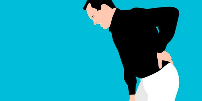 bico-de-papagaio-saiba-tudo-sobre bico de papagaio